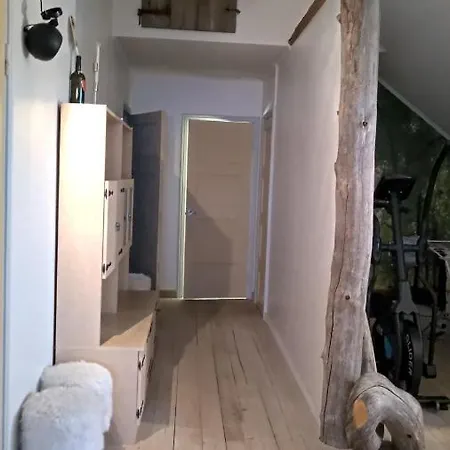 Beautiful Expansive House With Sea Views, Large Private Bedrooms Available In Shared House Apartment