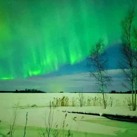 Beautiful Expansive House With Sea Views, Large Private Bedrooms Available In Shared House Vasa