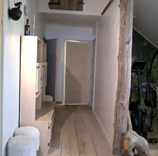 Beautiful Expansive House With Sea Views, Large Private Bedrooms Available In Shared House Apartment